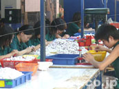 �o������ƕ��i